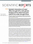 Research paper thumbnail of Epistatic interactions of major effect drought QTLs with genetic background loci determine grain yield of rice under drought stress