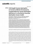 Research paper thumbnail of Full-length human dystrophin on human artificial chromosome compensates for mouse dystrophin deficiency in a Duchenne muscular dystrophy mouse model