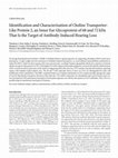 Research paper thumbnail of Identification and Characterization of Choline Transporter-Like Protein 2, an Inner Ear Glycoprotein of 68 and 72 kDa That Is the Target of Antibody-Induced Hearing Loss