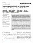 Research paper thumbnail of Modeling the photoinactivation and transport of somatic and F‐specific coliphages at a Great Lakes beach