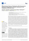 Research paper thumbnail of Renal Ischemia Tolerance Mediated by eIF5A Hypusination Inhibition Is Regulated by a Specific Modulation of the Endoplasmic Reticulum Stress