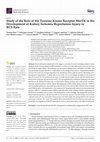 Research paper thumbnail of Study of the Role of the Tyrosine Kinase Receptor MerTK in the Development of Kidney Ischemia-Reperfusion Injury in RCS Rats