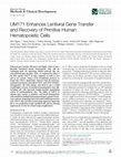 Research paper thumbnail of UM171 Enhances Lentiviral Gene Transfer and Recovery of Primitive Human Hematopoietic Cells