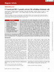 Research paper thumbnail of UV-inactivated HSV-1 potently activates NK cell killing of leukemic cells