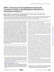 Research paper thumbnail of PfNT2, a Permease of the Equilibrative Nucleoside Transporter Family in the Endoplasmic Reticulum of Plasmodium falciparum