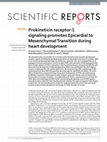 Research paper thumbnail of Prokineticin receptor-1 signaling promotes Epicardial to Mesenchymal Transition during heart development