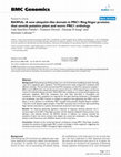 Research paper thumbnail of RAWUL: A new ubiquitin-like domain in PRC1 Ring finger proteins that unveils putative plant and worm PRC1 orthologs