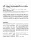 Research paper thumbnail of Regulation of the New Arabidopsis Imprinted Gene AtBMI1C Requires the Interplay of Different Epigenetic Mechanisms