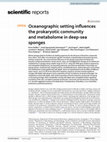 Research paper thumbnail of Oceanographic setting influences the prokaryotic community and metabolome in deep-sea sponges