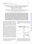 Research paper thumbnail of Differential Activity of Two Non-hrOrigins during Replication of the Baculovirus Autographa californica Nuclear Polyhedrosis Virus Genome