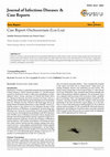 Research paper thumbnail of Case Report: Onchocerciasis (Loa Loa)