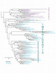 Research paper thumbnail of A family-level Tree of Life for bivalves based on a Sanger-sequencing approach