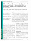 Research paper thumbnail of Different effects of Bortezomib on the expressions of various PKC isoenzymes in T cells of patients with systemic lupus erythematosus and in Jurkat cells