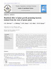 Research paper thumbnail of Beneficial effect of plant growth promoting bacteria isolated from the roots of potato plant