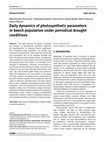 Research paper thumbnail of Daily dynamics of photosynthetic parameters in beech population under periodical drought conditions