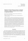 Research paper thumbnail of Responses of Wheat (Triticum Aestivum L.) and Maize (Zea Mays L.) Plants to Cadmium Toxicity in Relation to Magnesium Nutrition