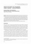 Research paper thumbnail of Profit Efficiency in Lithuanian Credit Unions – a Dea Approach