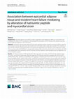 Research paper thumbnail of The Association between the Epicardial Adipose Tissue Thickness and Oxidative Stress Parameters in Isolated Metabolic Syndrome Patients: A Multimarker Approach