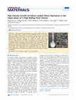 Research paper thumbnail of High Density Growth of Indium seeded Silicon Nanowires in the Vapor phase of a High Boiling Point Solvent