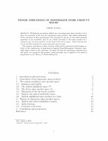 Research paper thumbnail of  Tensor Operations on Degenerate Inner Product Spaces