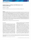 Research paper thumbnail of Alcohol, tobacco, marijuana and hallucinogen use in Samoan adolescents