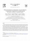 Research paper thumbnail of Dental development in Megaladapis edwardsi (Primates, Lemuriformes): Implications for understanding life history variation in subfossil lemurs