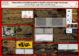 Research paper thumbnail of Observations of bubble growth in rhyolite using hot stage microscopy