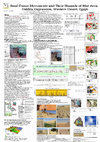 Research paper thumbnail of Sand Dunes Movement and Its Geomorphological Hazards of Mut Area, Dakhla Depression, Western Desert. Egypt.