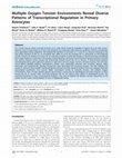 Research paper thumbnail of Multiple Oxygen Tension Environments Reveal Diverse Patterns of Transcriptional Regulation in Primary Astrocytes