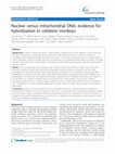 Research paper thumbnail of Nuclear versus mitochondrial DNA: evidence for hybridization in colobine monkeys