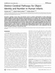 Research paper thumbnail of Distinct cerebral pathways for object identity and number in human infants