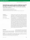 Research paper thumbnail of Antioxidant gene–enzyme responses in Medicago truncatula genotypes with different degree of sensitivity to salinity