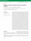 Research paper thumbnail of Aox gene structure, transcript variation and expression in plants