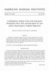 Research paper thumbnail of A phylogenetic analysis of the social wasp genus Brachygastra Perty, 1833, and description of a new species (Hymenoptera: Vespidae: Epiponini)