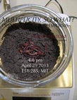 Research paper thumbnail of Multiplicity, so what? Opening a Can with Worms