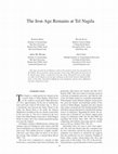 Research paper thumbnail of The Iron Age Remains at Tel Nagila