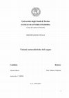 Research paper thumbnail of Visioni Naturalistiche del Sogno (Tesi di Laurea Triennale)