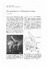 Research paper thumbnail of The second leg row of Hallucigenia discovered. (1992: Lars Ramskold. Lethaia, vol. 25, pp. 221-224)