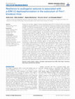 Research paper thumbnail of Resilience to audiogenic seizures is associated with p ERK1 2 dephosphorylation in the subiculum of Fmr1 knockout mice