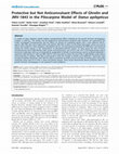 Research paper thumbnail of Protective but Not Anticonvulsant Effects of Ghrelin and JMV 1843 in the Pilocarpine Model of Status epilepticus