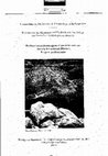 Research paper thumbnail of Prehistoric and Protohistoric research in the Eastern Rif (Northeastern Morocco)