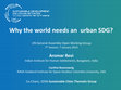 Research paper thumbnail of Plenary address to UN General Assembly OWG: "Why the world needs an urban SDG?"