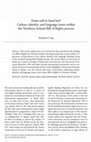 Research paper thumbnail of From soft to hard law? Culture, identity and languages issues within the Northern Ireland Bill of Rights process. 