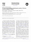 Research paper thumbnail of New data on the distribution and phylogenetic position of** Mastomys awashensis**(Rodentia, Muridae)