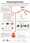Research paper thumbnail of Romancing the stone. Premier bilan d'une analyse multidisciplinaire dans le Civitas Menapiorum.