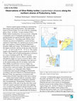 Research paper thumbnail of Observations of Olive Ridley turtles (Lepidochelys olivacea) along the northern shores of Puducherry, India