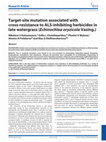 Research paper thumbnail of Target-site mutation associated with cross-resistance to ALS-inhibiting herbicides in late watergrass (Echinochloa oryzicola Vasing.)