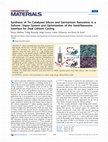 Research paper thumbnail of Synthesis of Tin Catalyzed Silicon and Germanium Nanowires in a Solvent–Vapor System and Optimization of the Seed/Nanowire Interface for Dual Lithium Cycling