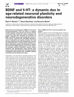 Research paper thumbnail of BDNF and 5-HT: a Dynamic Duo In Age-Related Neuronal Plasticity and Neurodegenerative Disorders