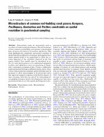 Research paper thumbnail of Microstructure of Common Reef-Building Coral Genera Acropora, Pocillopora, Goniastrea and Porites: Constraints on Spatial Resolution In Geochemical Sampling